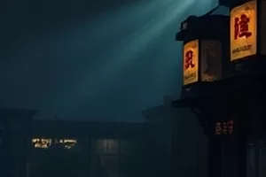 《旧唱片店》木质唱片架与唱片封面画面